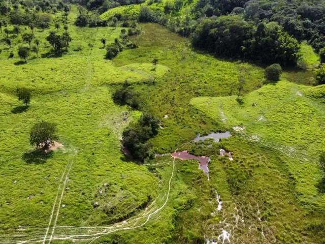 Fazenda venda em Região Geográfica Imediata de Pará de Minas, Pará de Minas