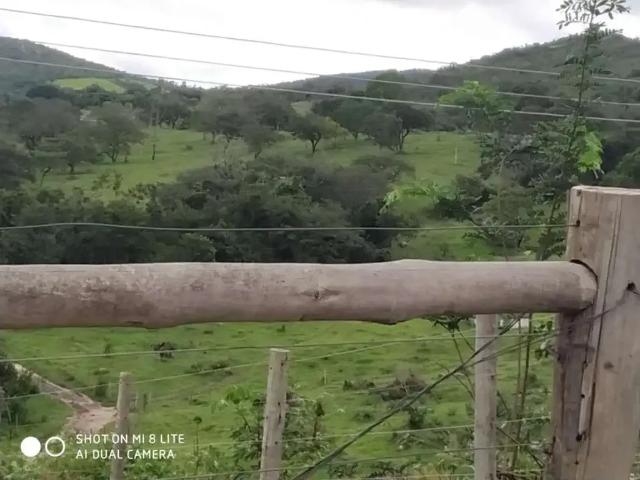 Fazenda venda em Região Geográfica Imediata de Pará de Minas, Pará de Minas