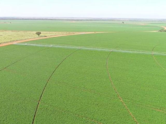Sítio e chácara venda em Região Geográfica Imediata de Patos de Minas, Paracatu