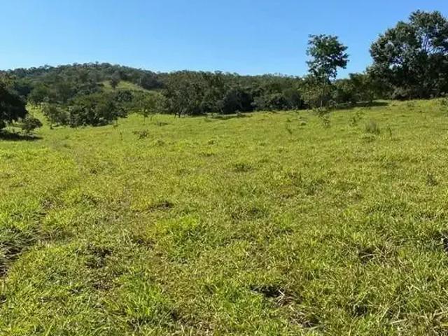 Fazenda venda em Região Geográfica Imediata de Patos de Minas, Paracatu