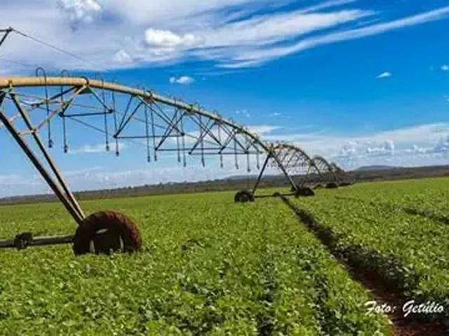 Fazenda venda em Região Geográfica Imediata de Patos de Minas, Paracatu
