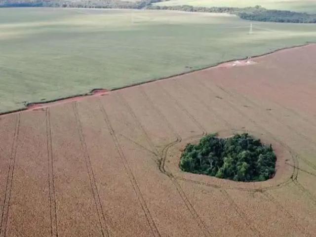 Fazenda venda em Região Geográfica Imediata de Patos de Minas, Paracatu