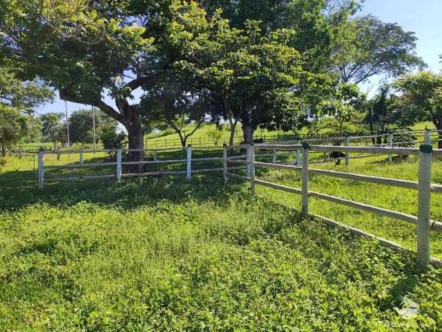 Fazenda venda em Região Geográfica Imediata de Patos de Minas, Paracatu
