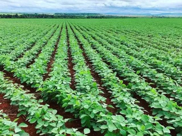 Fazenda venda em Região Geográfica Imediata de Patos de Minas, Paracatu