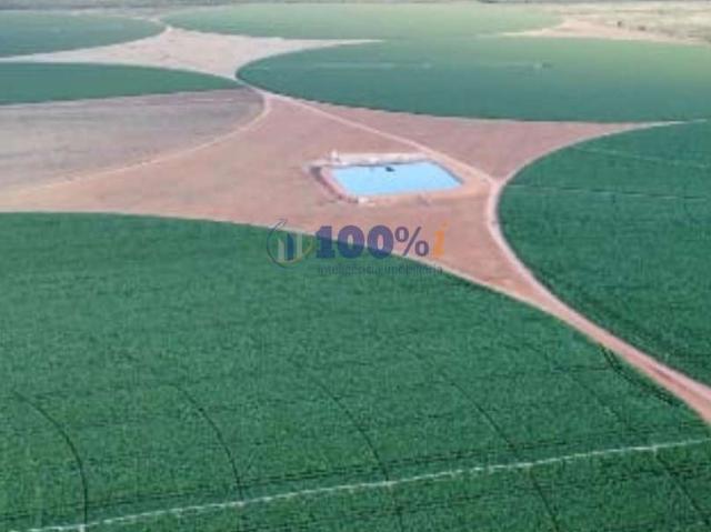 Fazenda venda em Região Geográfica Imediata de Patos de Minas, Paracatu