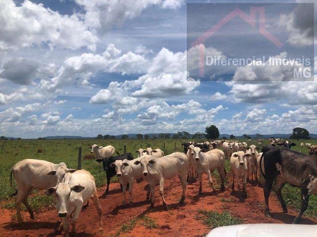 Fazenda venda em Região Geográfica Imediata de Patos de Minas, Paracatu