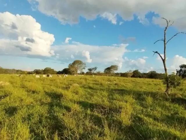 Fazenda venda em Região Geográfica Imediata de Patos de Minas, Paracatu
