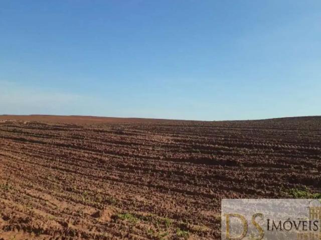 Fazenda venda em Região Imediata de Assis, Paraguaçu Paulista