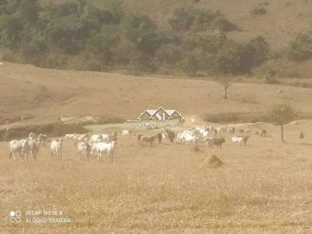 Fazenda venda em Paraíba do Sul, Região Geográfica Intermediária de Petrópolis