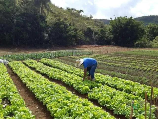 Fazenda venda em Região Geográfica Imediata de Três Rios-Paraíba do Sul, Paraíba do Sul