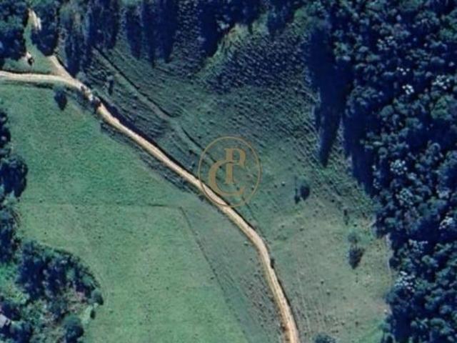 Sítio e chácara venda em Região Imediata de Itapeva, Ribeirão Branco