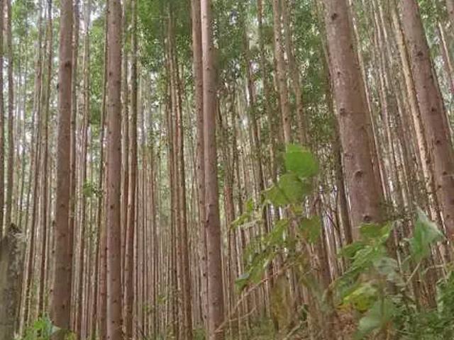 Fazenda venda em Região Imediata de São José dos Campos, Região Metropolitana do Vale do Paraíba e Litoral Norte