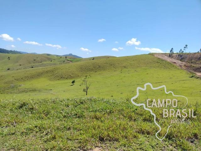 Fazenda venda em Paraibuna