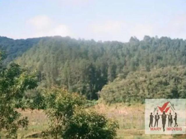Fazenda venda em Região Imediata de São José dos Campos, Região Metropolitana do Vale do Paraíba e Litoral Norte