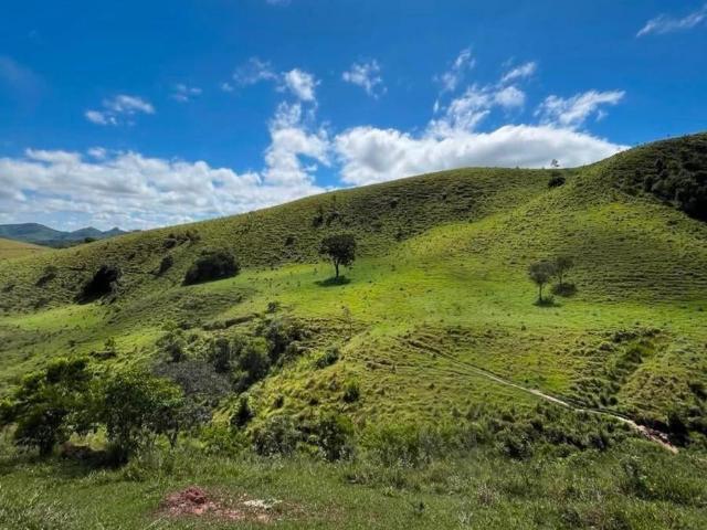 Fazenda venda em Paraibuna