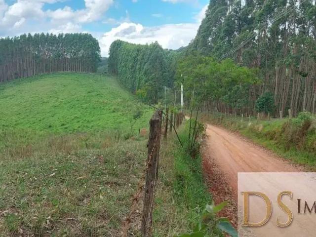 Fazenda venda em Região Imediata de São José do Rio Preto, Região Metropolitana de São José do Rio Preto