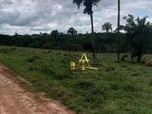 Fazenda venda em Região Geográfica Imediata de Três Lagoas, Água Clara