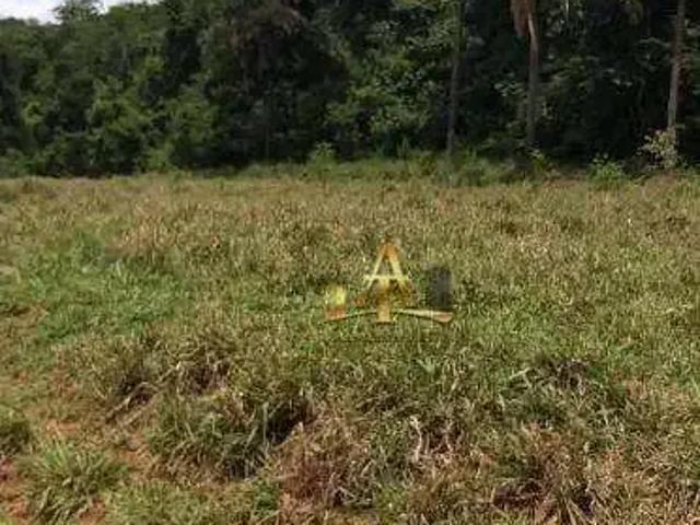 Fazenda venda em Região Geográfica Imediata de Três Lagoas, Água Clara