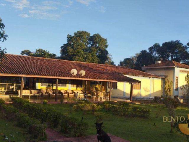 Fazenda venda em Centro, Paraíso do Tocantins
