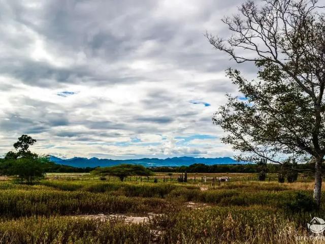 Fazenda venda em Região Geográfica Imediata de Gurupi, Parana