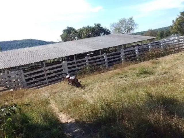 Fazenda venda em Região Geográfica Imediata de Gurupi, Parana