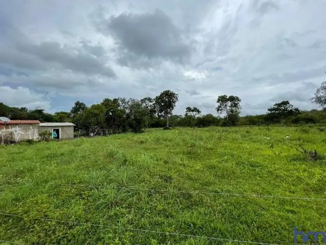 Fazenda venda em Região Geográfica Imediata de Uberlândia, Prata