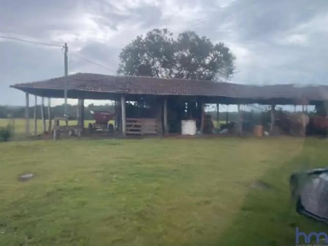 Fazenda venda em Região Geográfica Imediata de Gurupi, Parana