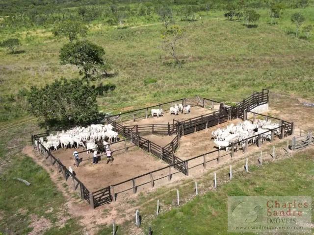 Fazenda venda em Região Geográfica Imediata de Gurupi, Parana