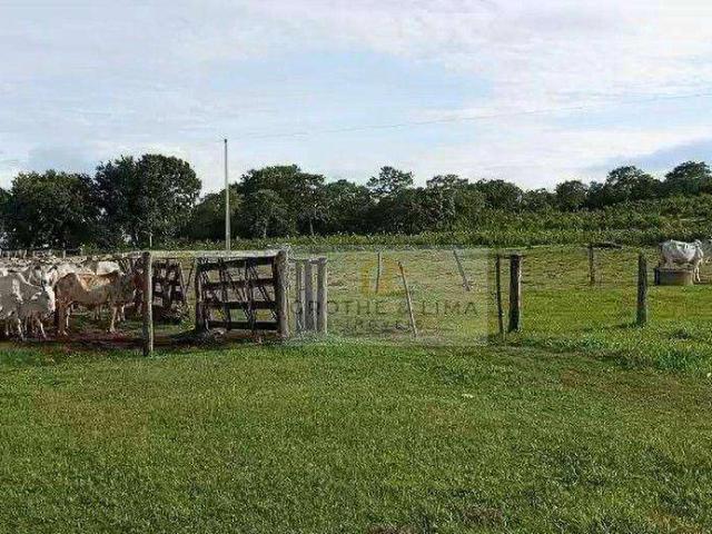 Fazenda venda em Paranã, Região Geográfica Intermediária de Gurupi
