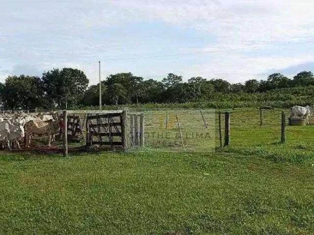 Fazenda venda em Região Geográfica Imediata de Gurupi, Parana