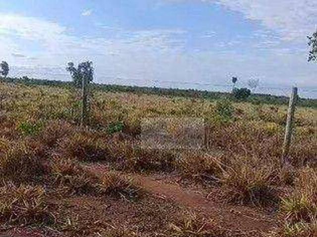 Fazenda venda em Paranã, Região Geográfica Intermediária de Gurupi