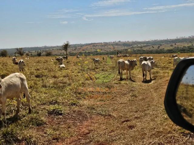 Fazenda venda em Região Geográfica Imediata de Paranaíba - Chapadão do Sul - Cassilândia, Paranaíba