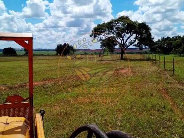 Fazenda venda em Região Geográfica Imediata de Paranaíba - Chapadão do Sul - Cassilândia, Paranaíba