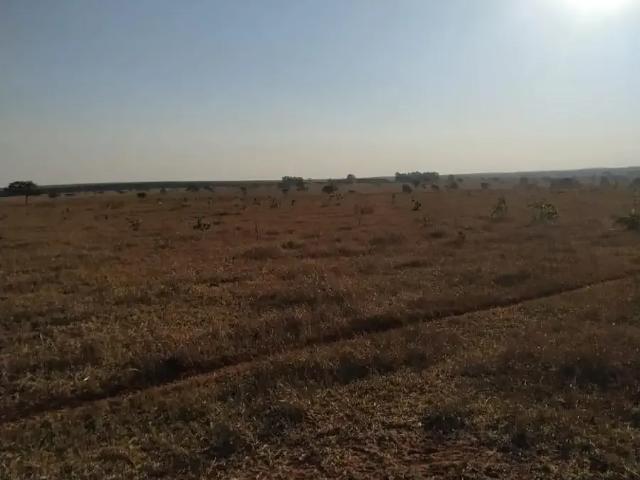 Fazenda venda em Região Geográfica Imediata de Paranaíba - Chapadão do Sul - Cassilândia, Paranaíba