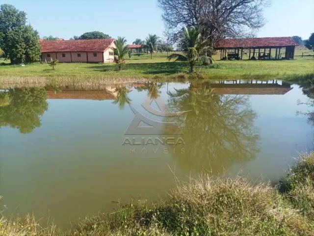 Fazenda venda em Região Geográfica Imediata de Paranaíba - Chapadão do Sul - Cassilândia, Paranaíba