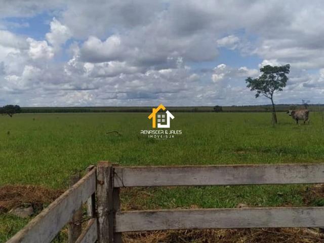 Fazenda venda em Paranaíba