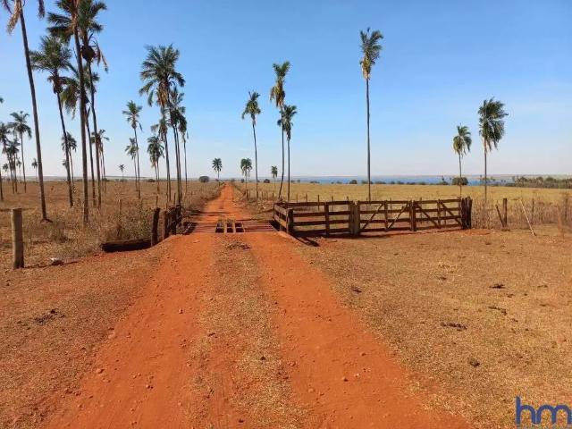 Fazenda venda em Região Geográfica Imediata de Quirinópolis, Paranaiguara