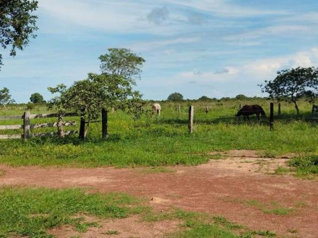 Sítio e chácara venda em Região Geográfica Imediata de Alta Floresta, Paranaíta