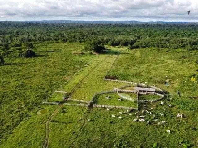 Fazenda venda em Região Geográfica Imediata de Alta Floresta, Paranaíta