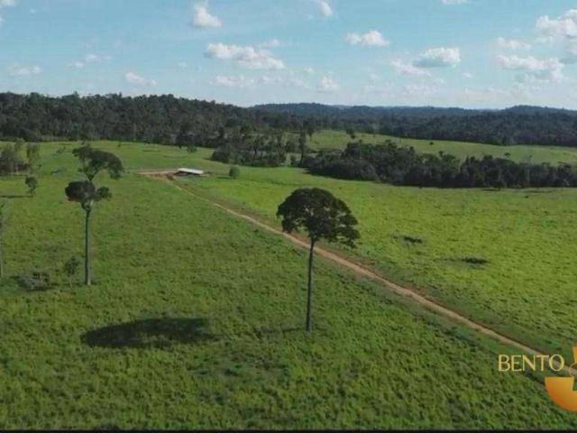 Fazenda venda em Paranaíta, Região Geográfica Intermediária de Sinop