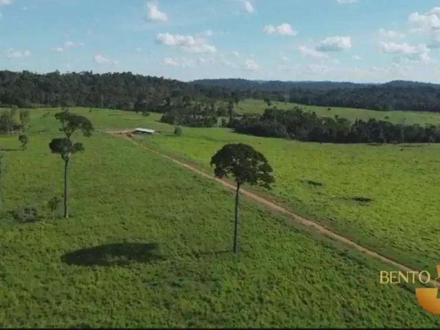 Fazenda venda em Região Geográfica Imediata de Alta Floresta, Paranaíta