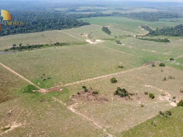 Fazenda venda em Região Geográfica Imediata de Alta Floresta, Paranaíta