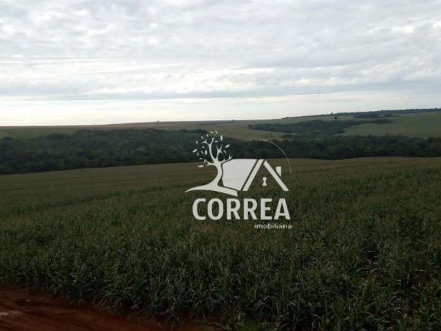 Sítio e chácara venda em Região Imediata de Avaré, Paranapanema