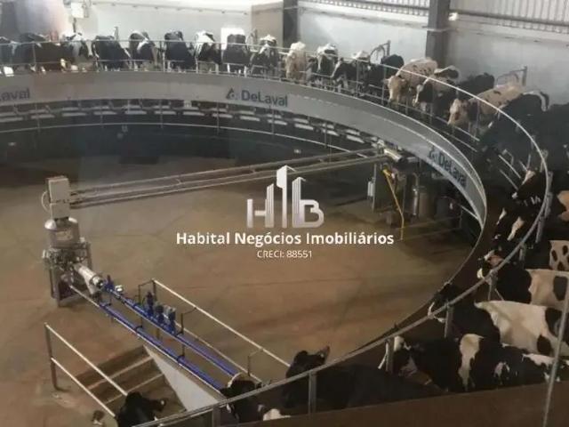 Fazenda venda em Região Imediata de Avaré, Paranapanema