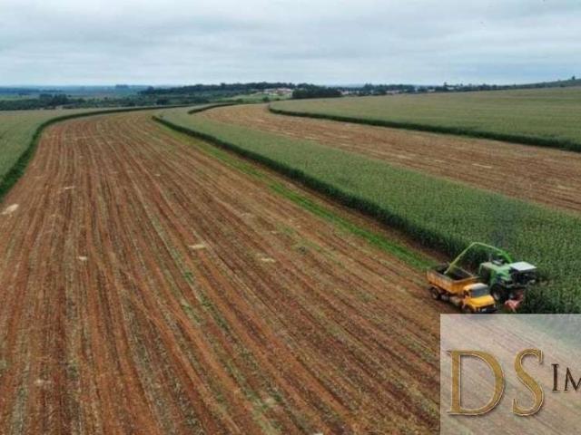 Fazenda venda em Região Imediata de Avaré, Paranapanema