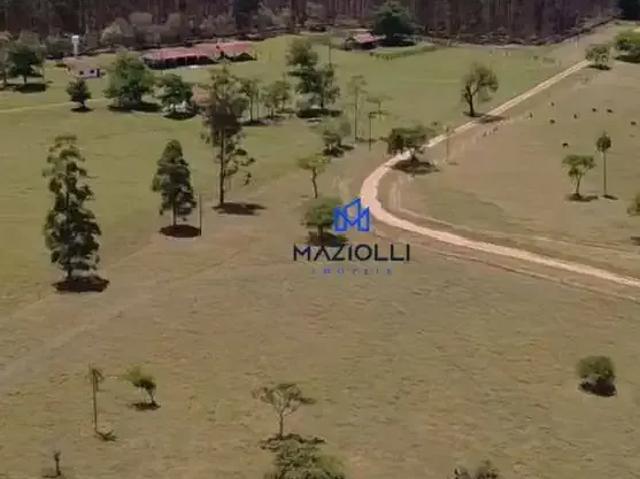 Fazenda venda em Região Imediata de Avaré, Paranapanema