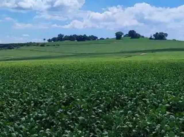 Fazenda venda em Região Imediata de Avaré, Paranapanema