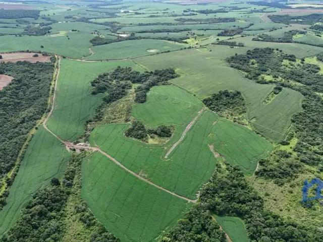 Fazenda venda em Região Imediata de Presidente Prudente, Mirante do Paranapanema