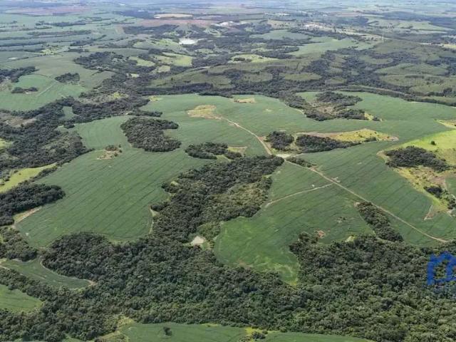 Fazenda venda em Região Imediata de Presidente Prudente, Mirante do Paranapanema