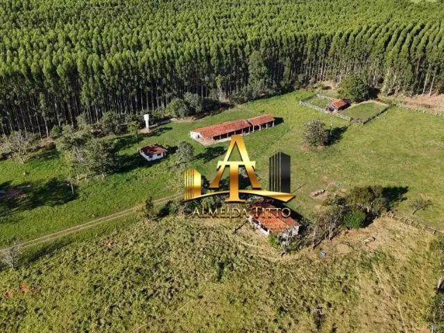 Fazenda venda em Região Imediata de Avaré, Paranapanema
